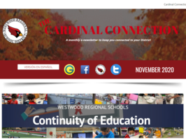 November Cardinal Connection