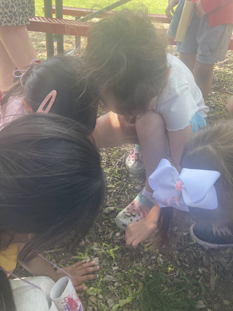 Getting our students outside to experience learning through a real-life lens opens doors to creative thinking, application, and imagination! #JustFocusonGrowing
